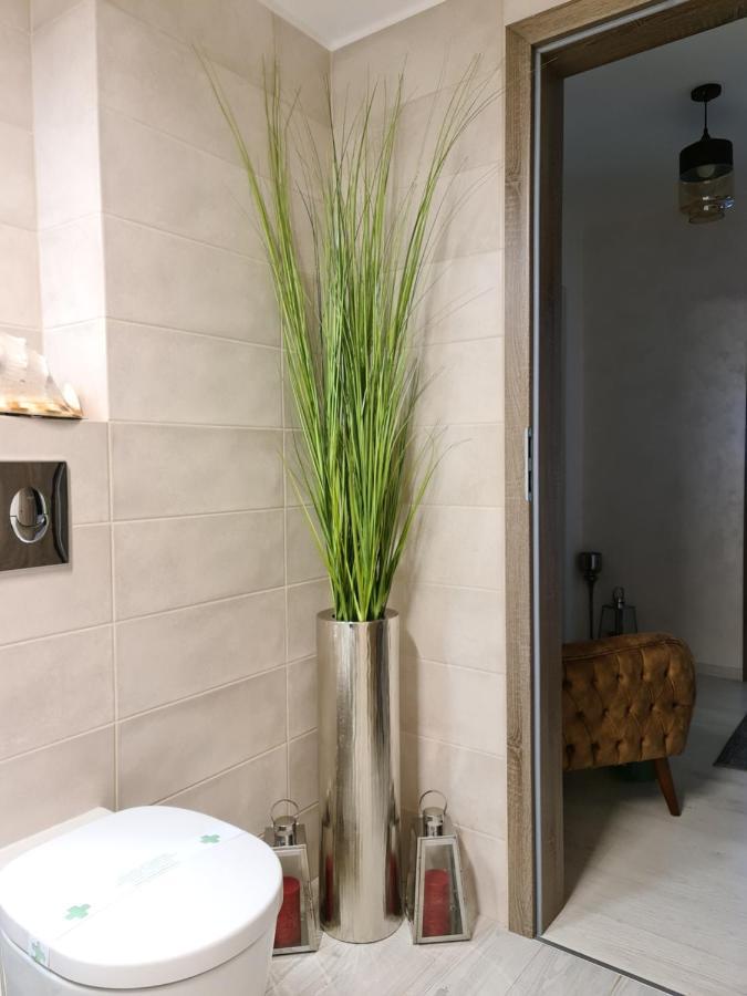 Apartment Alonisos Lux บราชอฟ ภายนอก รูปภาพ