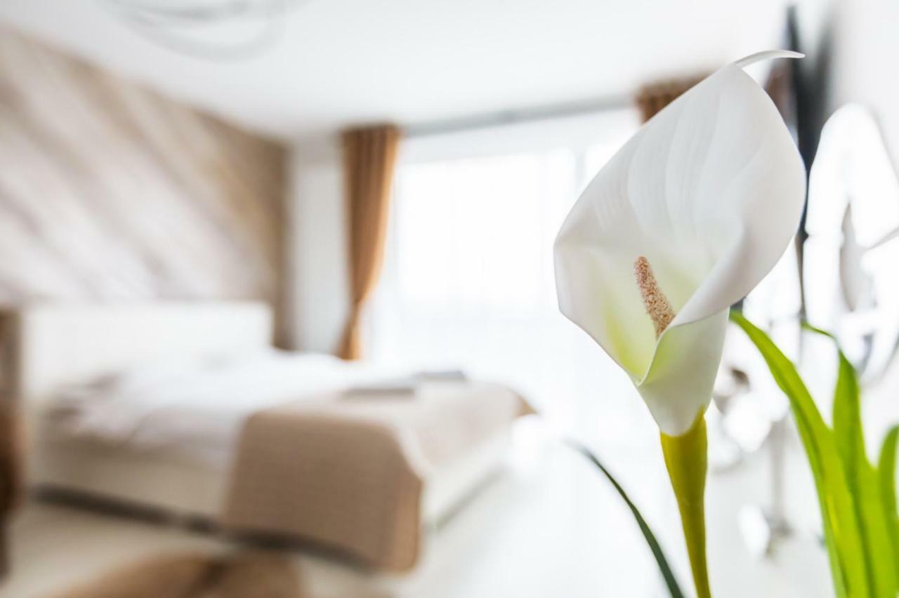 Apartment Alonisos Lux บราชอฟ ภายนอก รูปภาพ